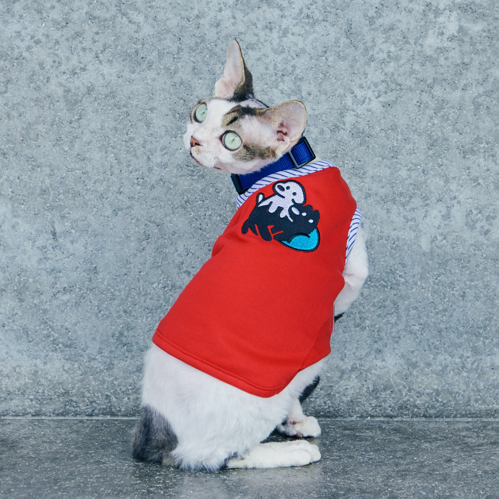 matsui x Momotone Vest