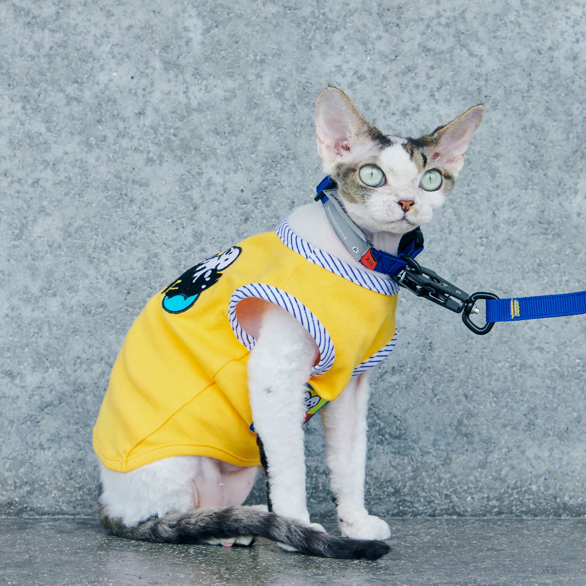 matsui x Momotone Vest