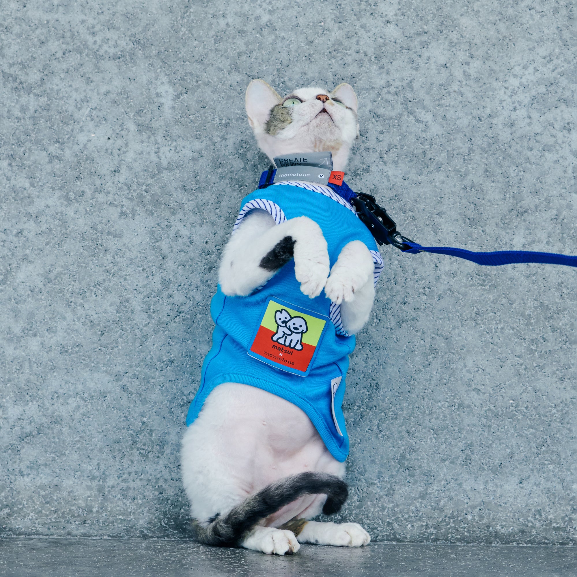 matsui x Momotone Vest