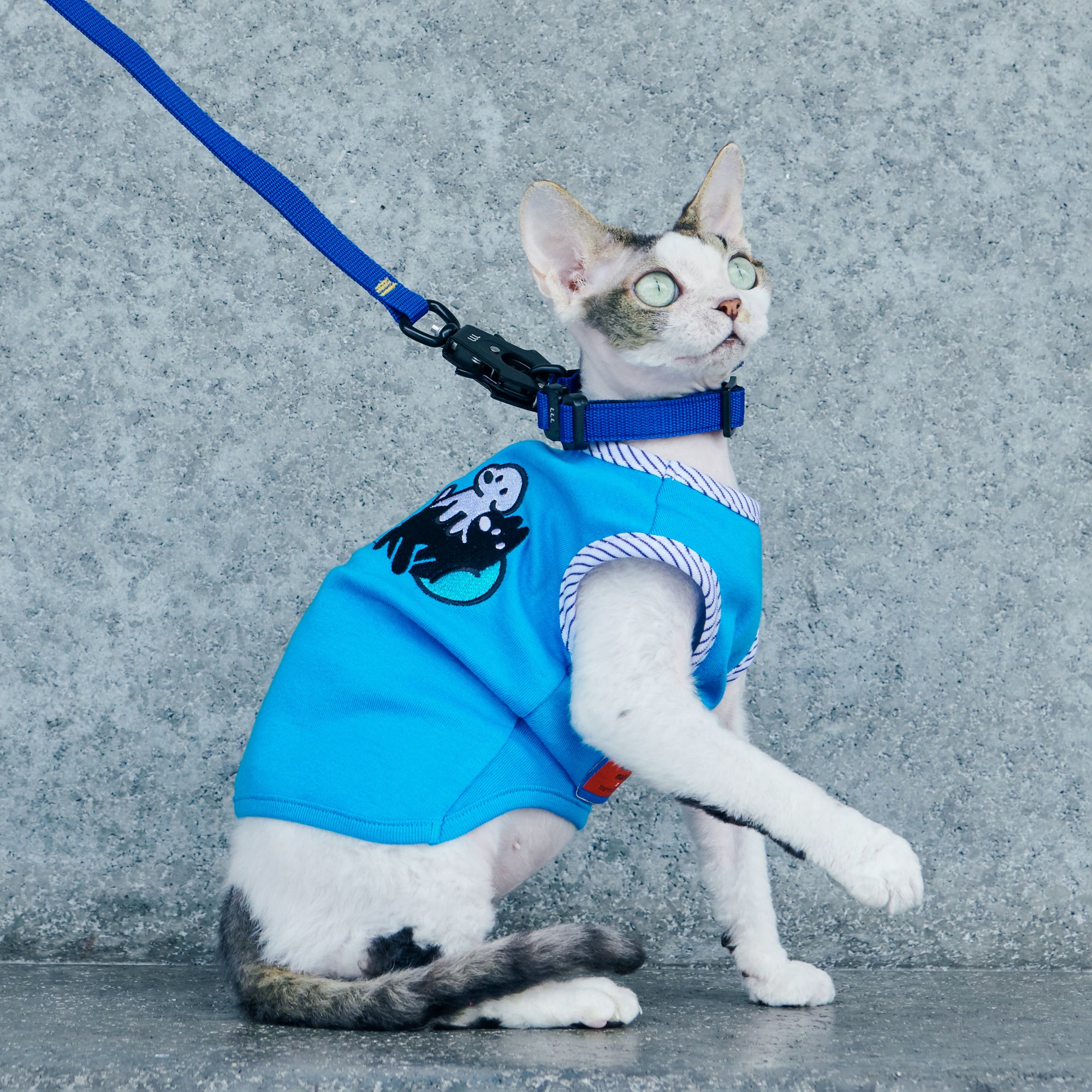 matsui x Momotone Vest