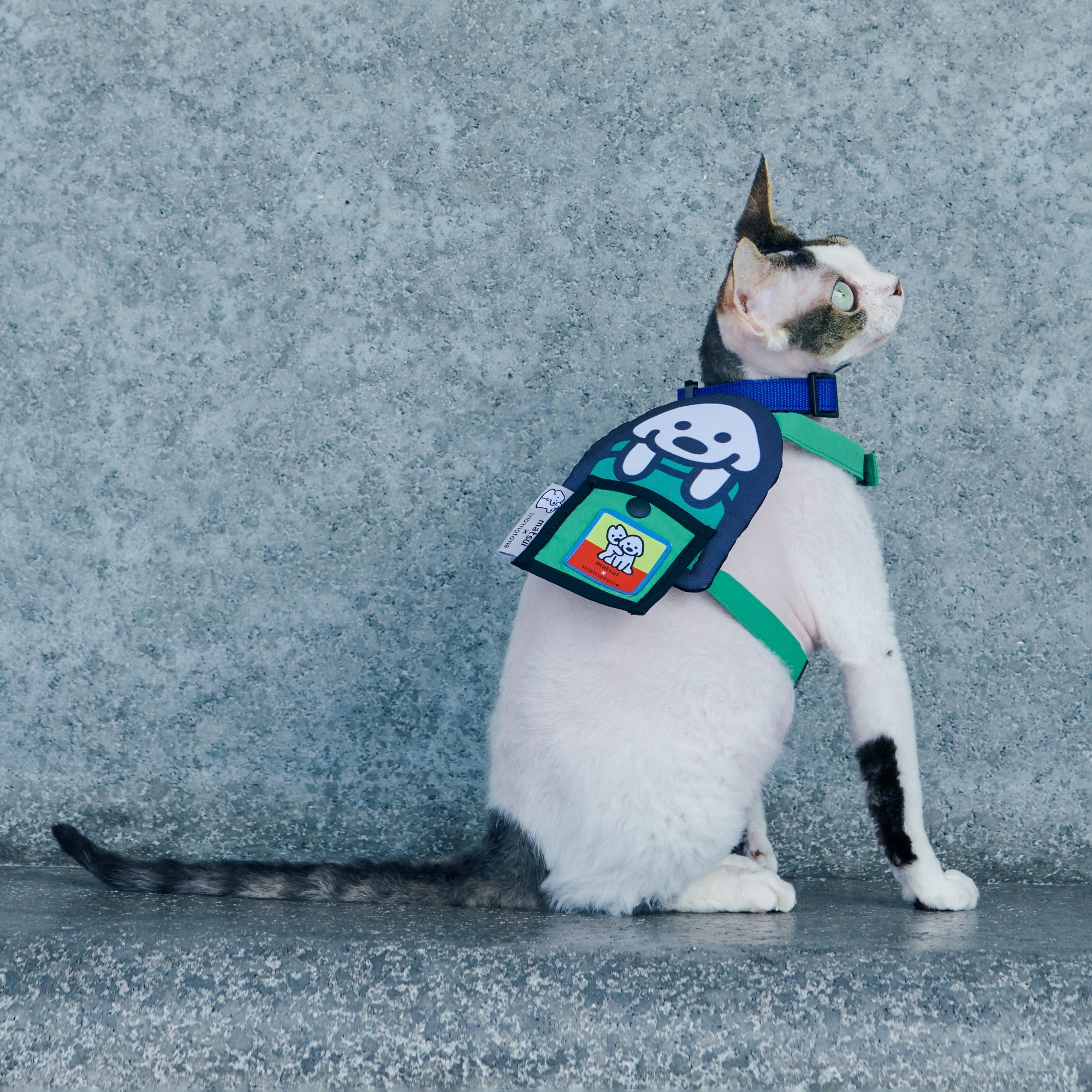 matsui x Momotone "I've got your back" backpack