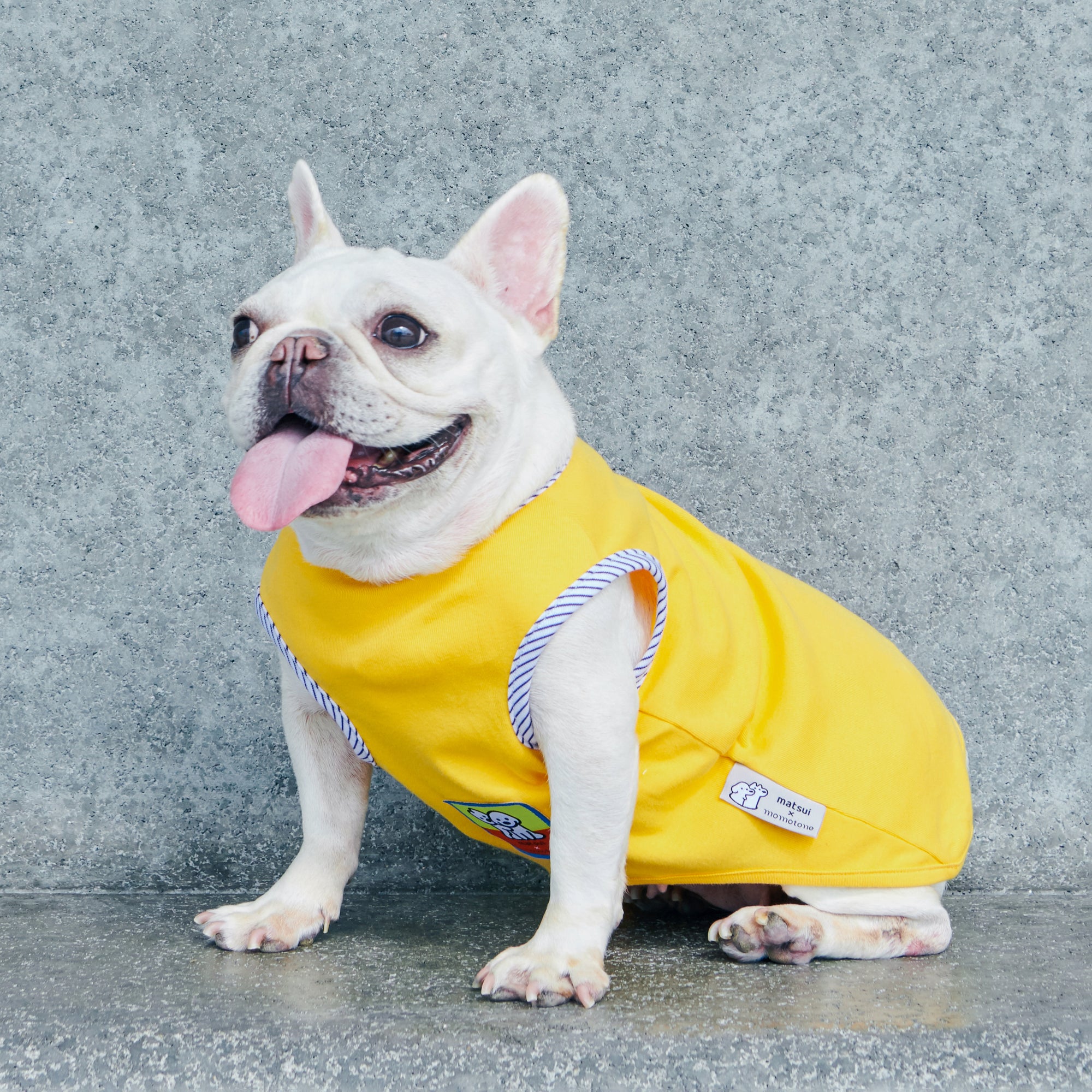 matsui x Momotone Vest