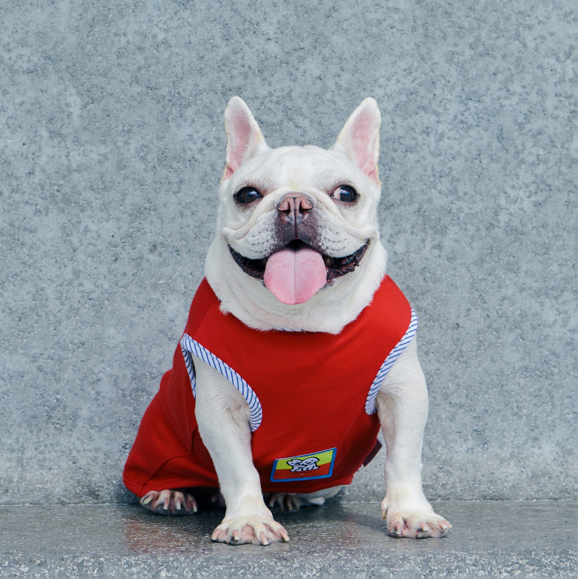 matsui x Momotone Vest