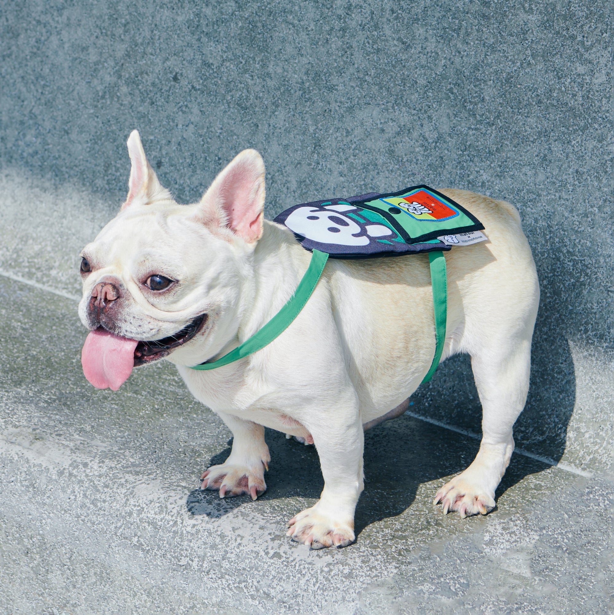 matsui x Momotone "I've got your back" backpack