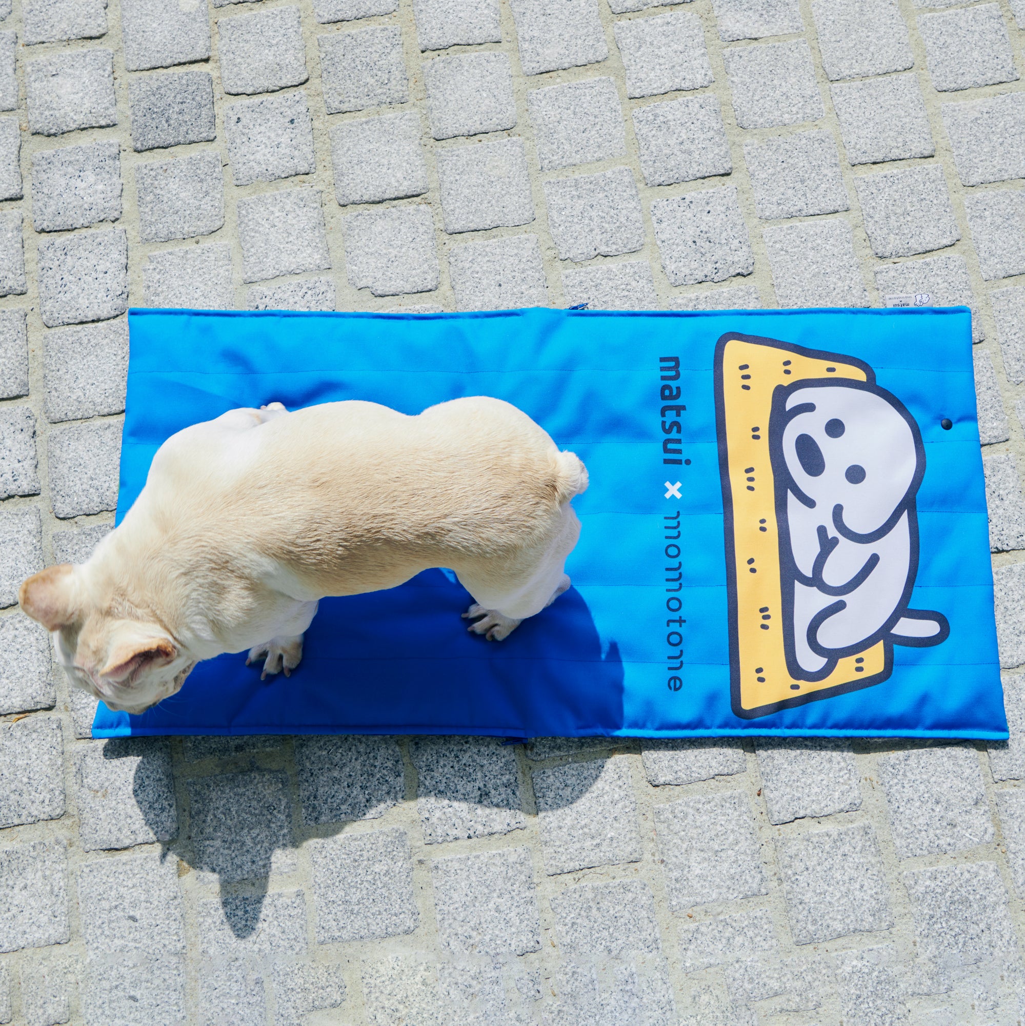 matsui x Momotone  "Come sit with me" sitting mat